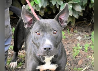 Deylora - Wenn sie fliegen könnte?