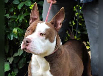 Jovienne - Menschenliebhaberin sucht Partner/in fürs Leben!