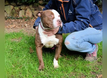 Jovienne - Menschenliebhaberin sucht Partner/in fürs Leben!