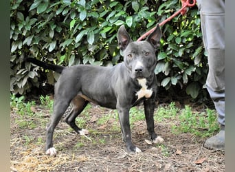 Deylora - Wenn sie fliegen könnte?