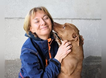 Aschette - SOS - Früher hat sie gelächelt