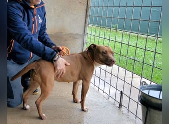 Aschette - weißt du, wie es früher war?