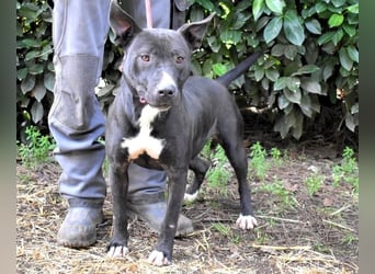 Deylora - Wenn sie fliegen könnte?