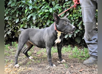 Deylora - Wenn sie fliegen könnte?