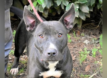 Deylora - Wenn sie fliegen könnte?