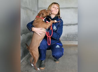 Aschette - weißt du, wie es früher war?