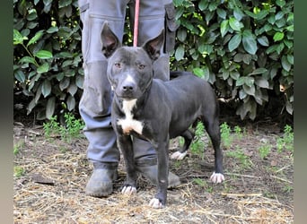 Deylora - Wenn sie fliegen könnte?