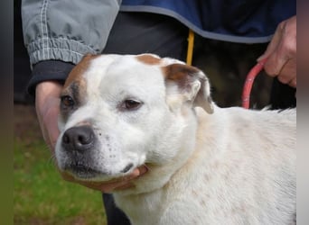 Abalyn - Piratin will Ihr Herz entern