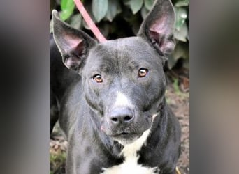 Deylora - Wenn sie fliegen könnte?