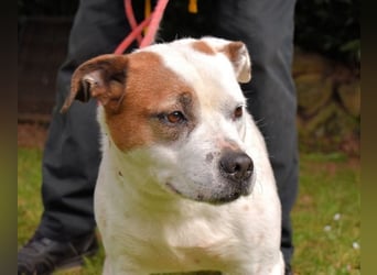 Abalyn - Piratin will Ihr Herz entern