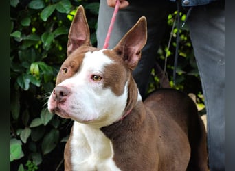 Jovienne - Menschenliebhaberin sucht Partner/in fürs Leben!