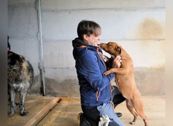 Aschette - weißt du, wie es früher war?