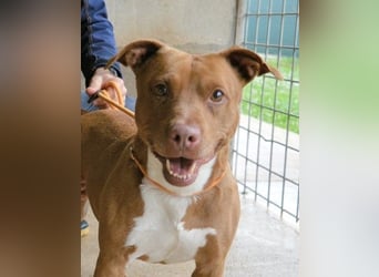 Aschette - weißt du, wie es früher war?