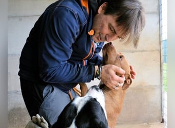 Aschette - weißt du, wie es früher war?