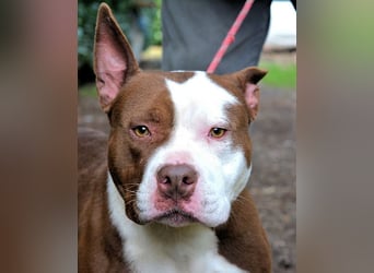 Jovienne - Menschenliebhaberin sucht Partner/in fürs Leben!