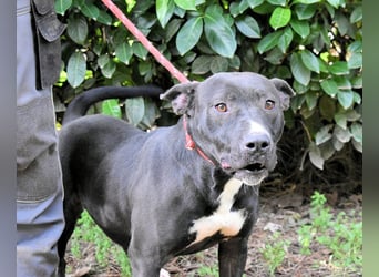 Deylora - Wenn sie fliegen könnte?