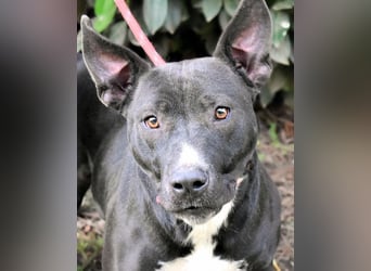 Deylora - Wenn sie fliegen könnte?