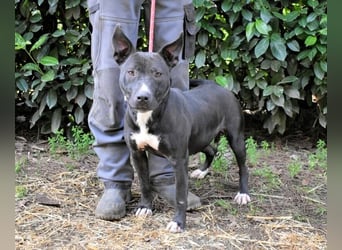 Deylora - Wenn sie fliegen könnte?