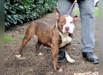 Jovienne - Menschenliebhaberin sucht Partner/in fürs Leben!