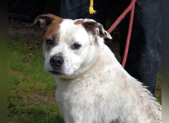 Abalyn - Piratin will Ihr Herz entern