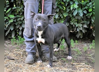 Deylora - Wenn sie fliegen könnte?