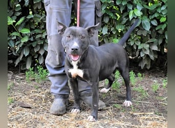 Deylora - Wenn sie fliegen könnte?