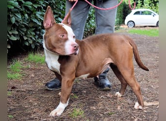 Jovienne - Menschenliebhaberin sucht Partner/in fürs Leben!