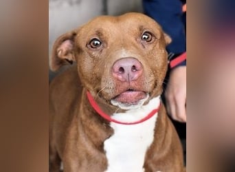 Aschette - weißt du, wie es früher war?