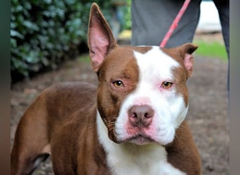 Jovienne - Menschenliebhaberin sucht Partner/in fürs Leben!