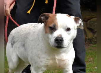 Abalyn - Piratin will Ihr Herz entern