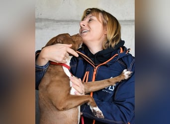 Aschette - SOS - Früher hat sie gelächelt