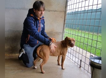 Aschette - weißt du, wie es früher war?