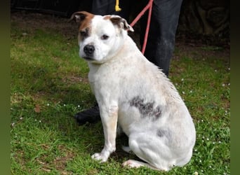 Abalyn - Piratin will Ihr Herz entern