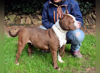 Jovienne - Menschenliebhaberin sucht Partner/in fürs Leben!