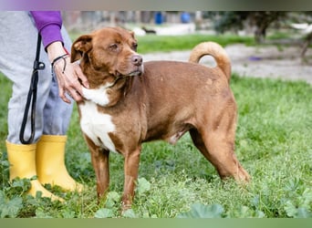 Cantinho da Milu ❤️ TOBY - ein sehr freundlicher Junge