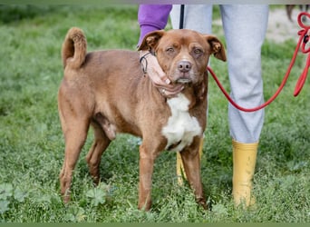 Cantinho da Milu ❤️ TOBY - ein sehr freundlicher Junge