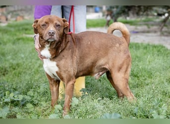 Cantinho da Milu ❤️ TOBY - ein sehr freundlicher Junge