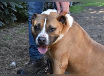 Ruben - Gastfreundschaft und Charme
