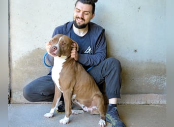 Olena - unser Sonnenschein!