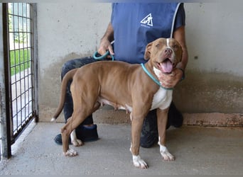 Olena - unser Sonnenschein!