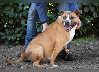 Ruben - Gastfreundschaft und Charme