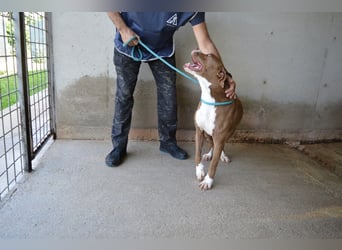 Olena - unser Sonnenschein!