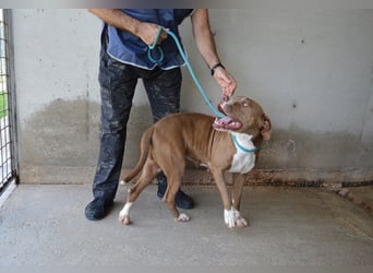 Olena - unser Sonnenschein!