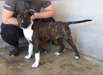 Aiko - Zwei Brüder auf der Suche nach Geborgenheit