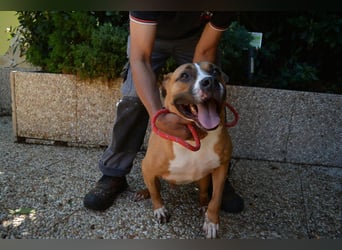 Ruben - Gastfreundschaft und Charme