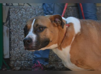 Ruben - Gastfreundschaft und Charme