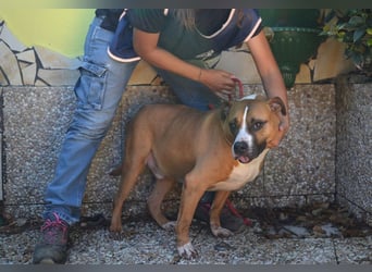 Ruben - Gastfreundschaft und Charme