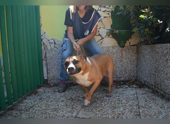 Ruben - Gastfreundschaft und Charme