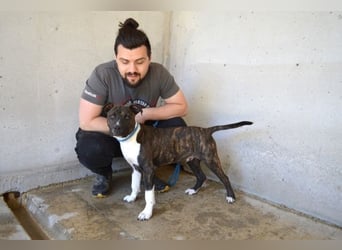 Aiko - Zwei Brüder auf der Suche nach Geborgenheit