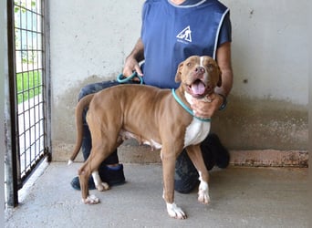 Olena - unser Sonnenschein!